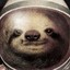 Unwanted Sloth
