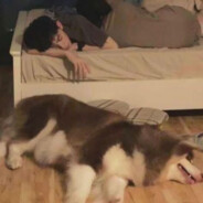 今晚还吃宵夜吗