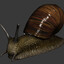 Sinovenator