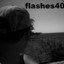 flashes40