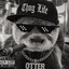 Otters