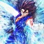Vegetto