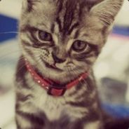 Trololo_SmiLe