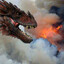 ✪Dracarys✪CASEHUG✪