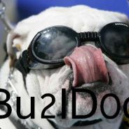 Bu2lD0g!