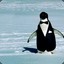 Fency Penguin