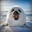 FloppySeal