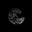 KØLL3G∆