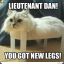 Lewtenant Dan gotz new legs!