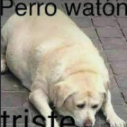 ็