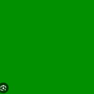 Mr.Green