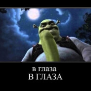 SaraNcha                  ✔