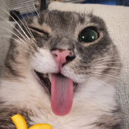 Huh???