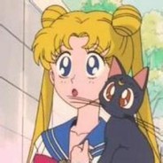 可爱菲︿(￣︶￣)︿