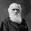 Ｄａｒｗｉｎ