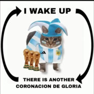 Inspectora De ZÃ³calos