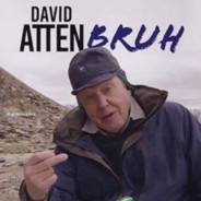 David Attenbruh