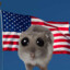 American Hamster