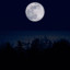 Midn8ght