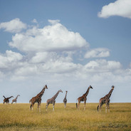 那就再帅一点吧