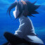 Sonic's avatar