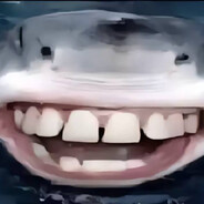 Shark-MLG - steam id 76561198171448687