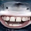 Shark-MLG