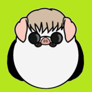 Gian_finfin