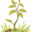 outsideplant