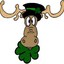 irish mOoSe