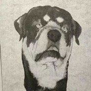 41岁已有32年工龄