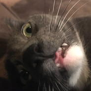 ^^^