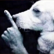 not the thinker avatarı