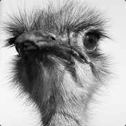 Bärlauch - steam id 76561197961793874