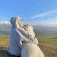 真的不会打游戏啊