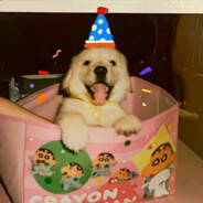 AAA鹈鹕镇老农民