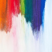 闪耀着智慧的光芒