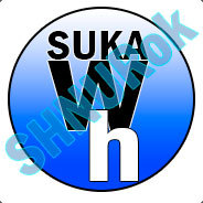 ОлегМастер2011