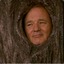 Tree Murray