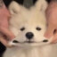 InM