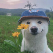 bla - steam id 76561198753856086