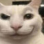 CaTa e thicc