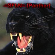 -=SFbN=-[Panther]akPr!v@teP@ul@ - steam id 76561197960481619