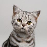 有你真是太好了