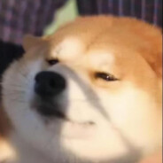 喜欢喝龙井の诸葛