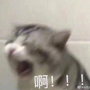 今天早上不想起床