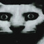 ohguesswho