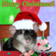 Jolly Rat