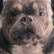 idell | #CompanyRust