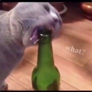 Я КСЕР А НЕ ДОТЕР